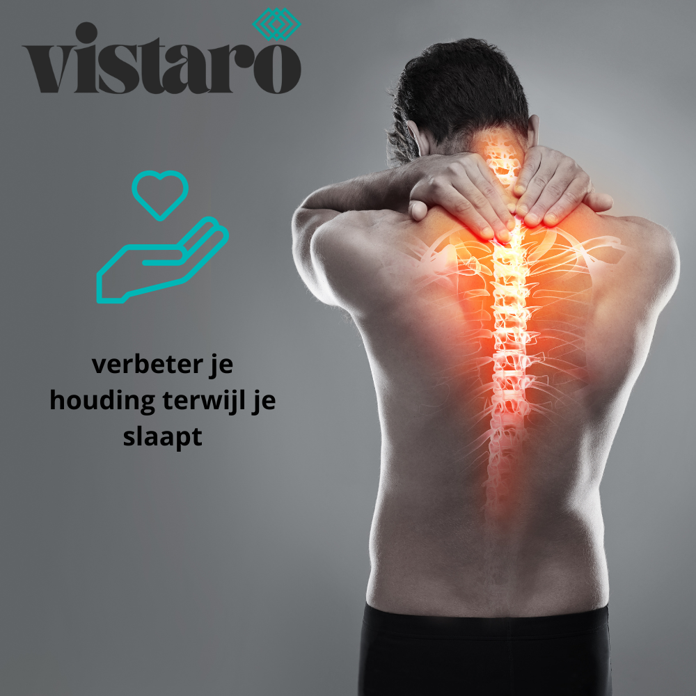 Vistaro Butterfly Pillow