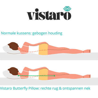 Vistaro Butterfly Pillow